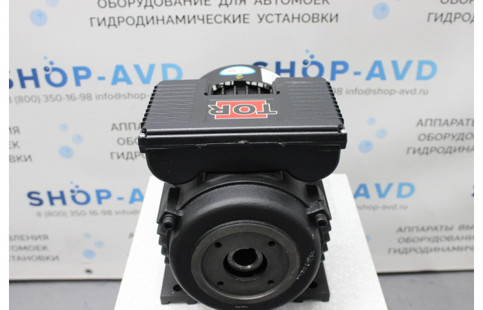 Электродвигатель TOR 3 кВт 220 В, полый вал, H100 (межосевое 75 мм) 100L2-4 Электродвигатель TOR 3 кВт 220 В, полый вал, H100 (межосевое 75 мм) 100L2-4